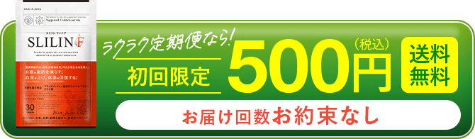 スリム便なら初回限定500円（送料無料）