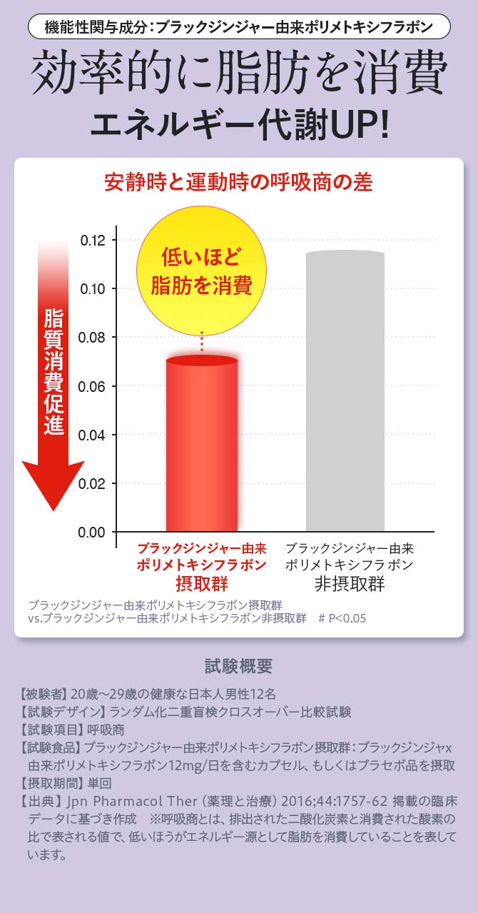 効率的に脂肪を消費 エネルギー代謝UP!