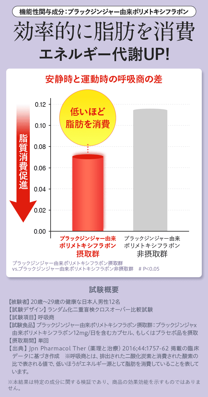 効率的に脂肪を消費 エネルギー代謝UP!
